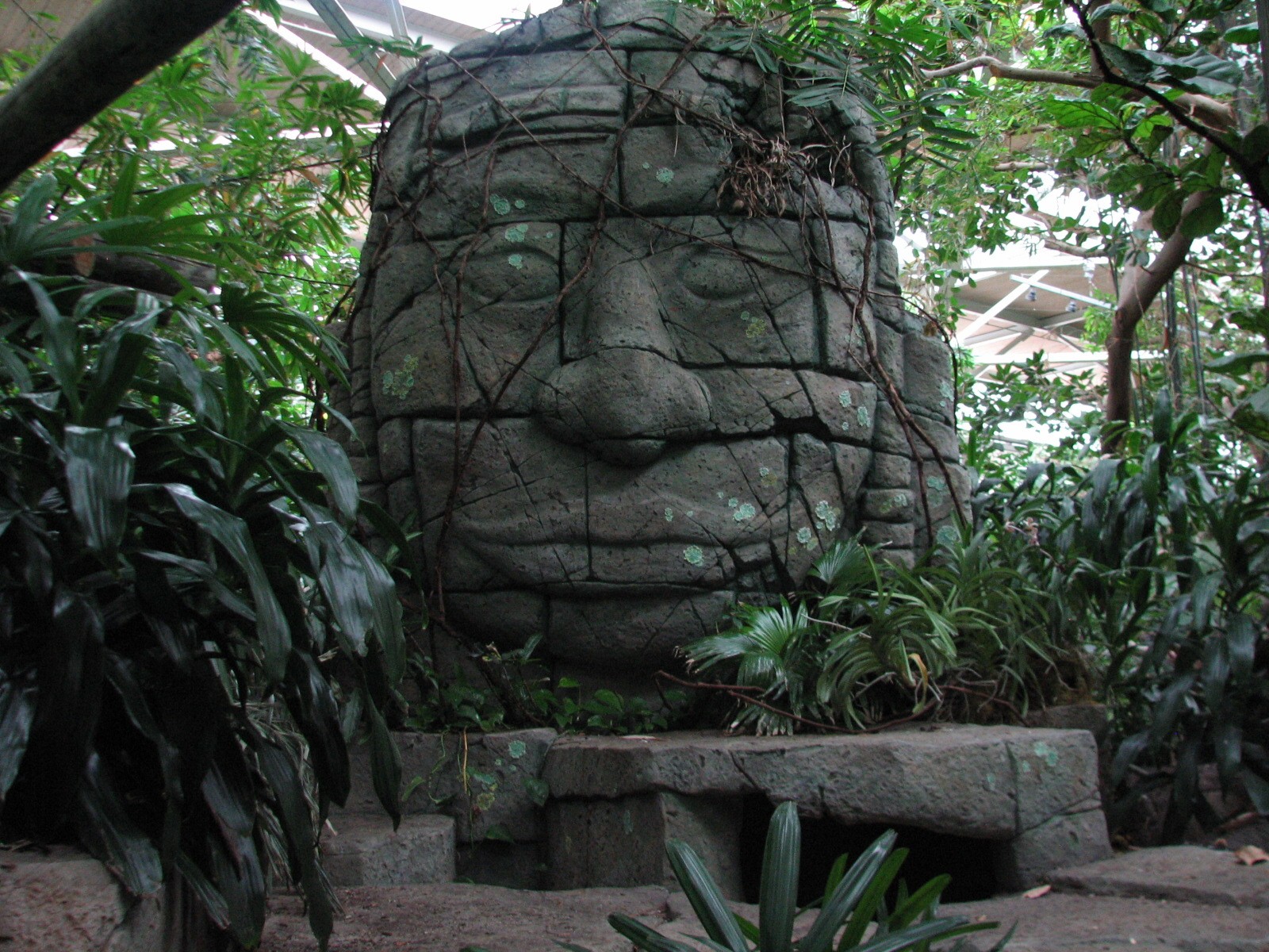 Tropics Trail - Temple Ruin