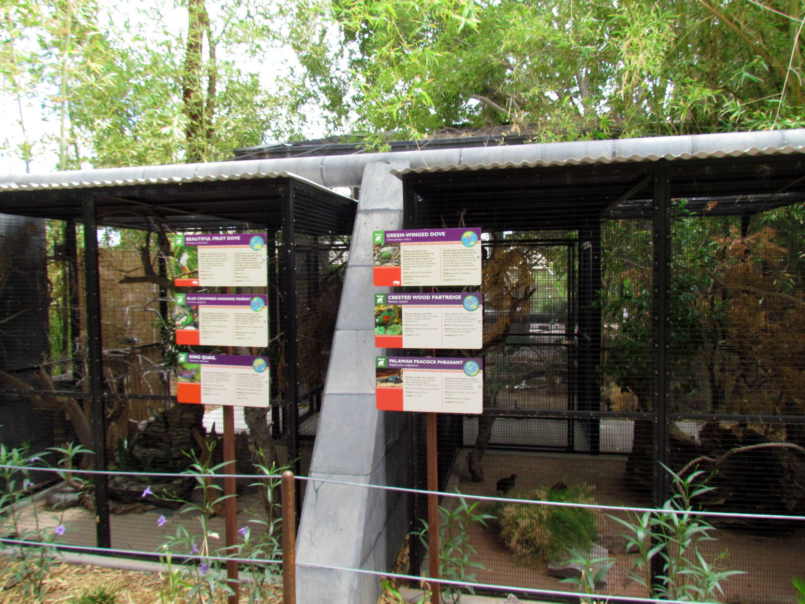 Tropics Trail - Tropical Flights (new aviaries)