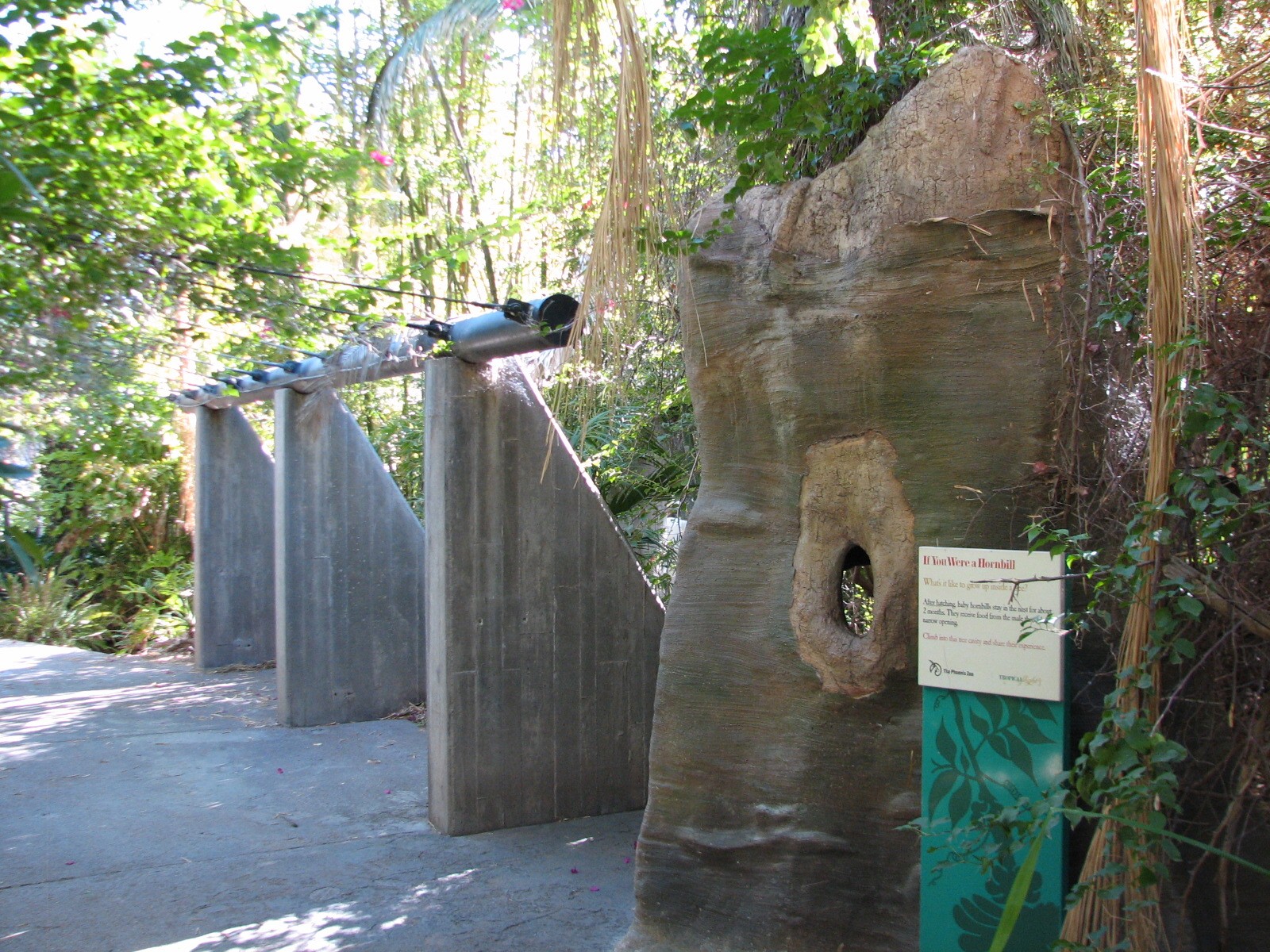 Tropics Trail - Tropical Flights - Path and Hornbill Nest