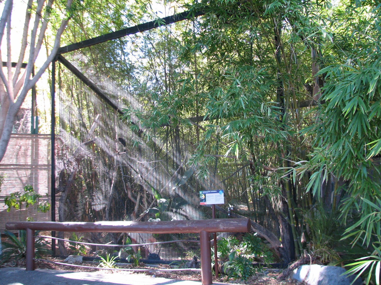 Tropics Trail - Tropical Flights - Rhinoceros Hornbill Exhibit 1