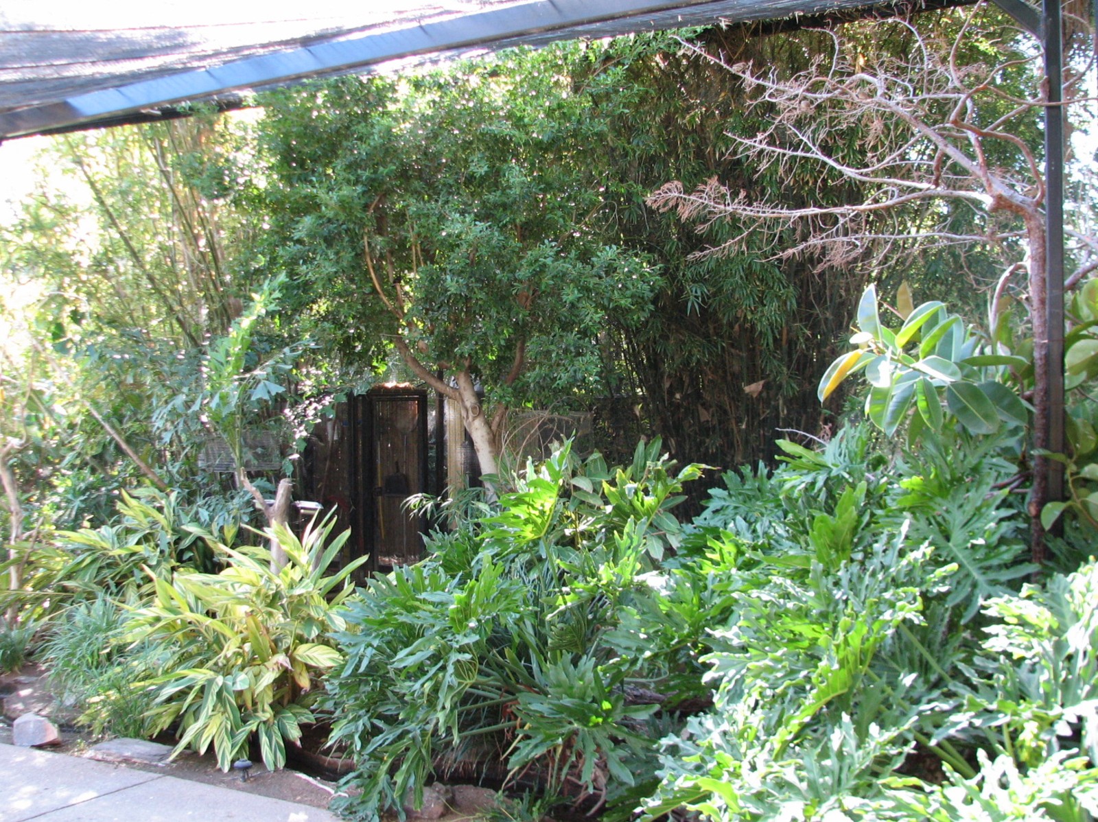 Tropics Trail - Tropical Flights - Walk-through Aviary