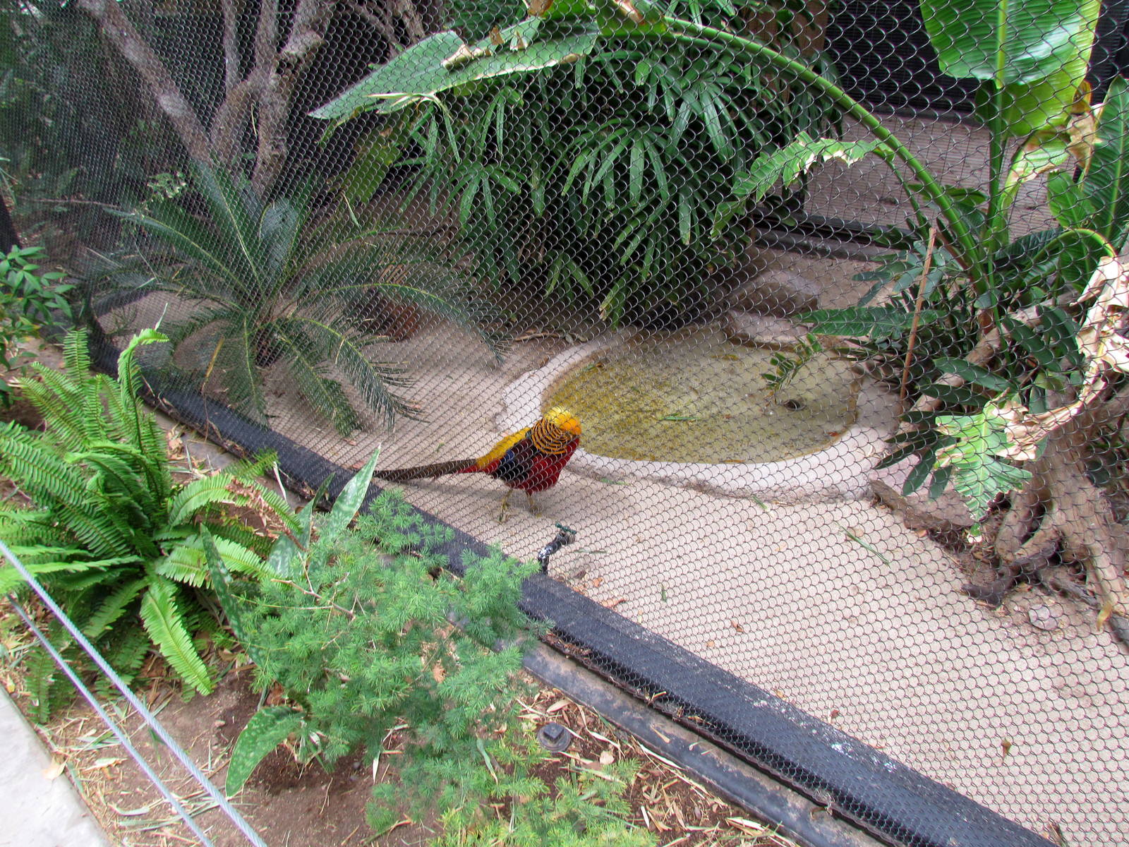 Tropics Trail - Tropical Flights