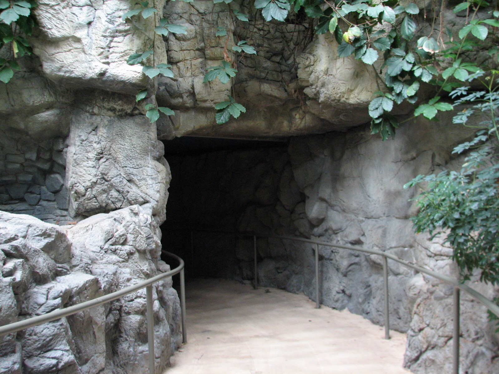 Tropics Trail - Tropical Indo-Pacific Coral Reef - Underwater Viewing Area