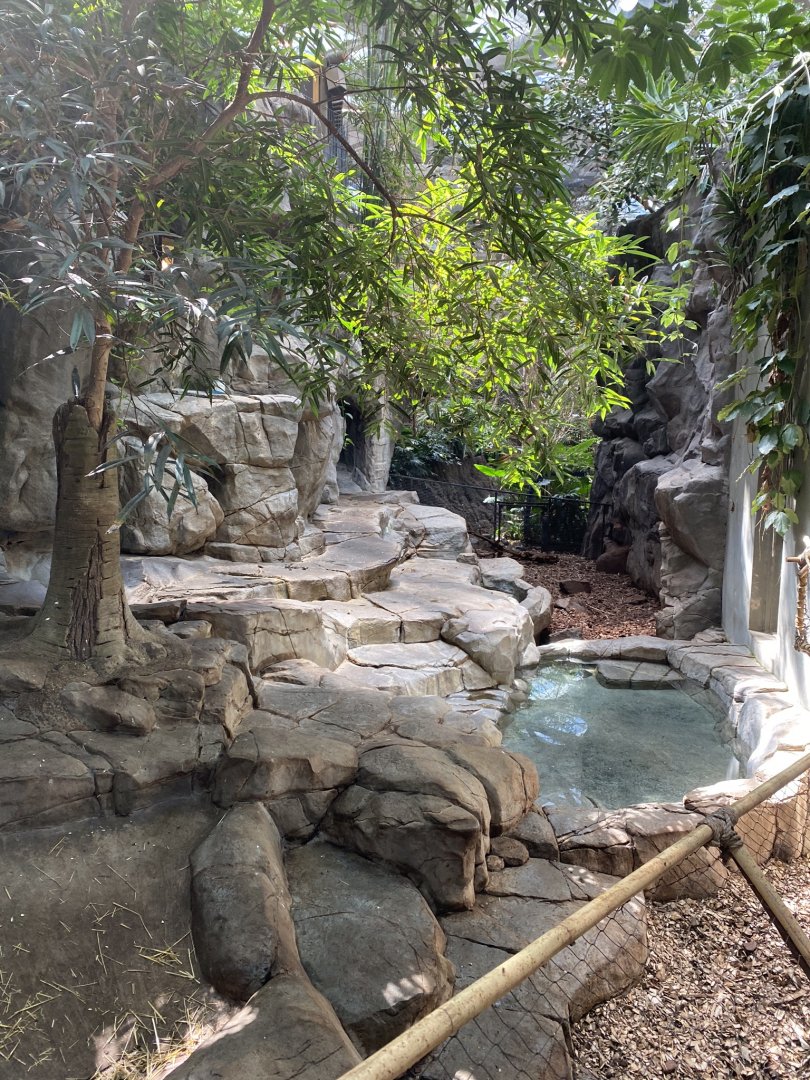 Tropics trail- visayan warty pig exhibit