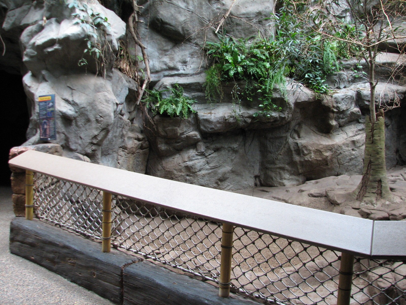 Tropics Trail - Visayan Warty Pig Exhibit