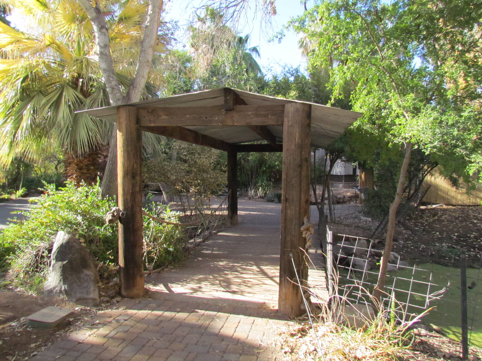 Tropics Trail - Walkway by Screamer Exhibit