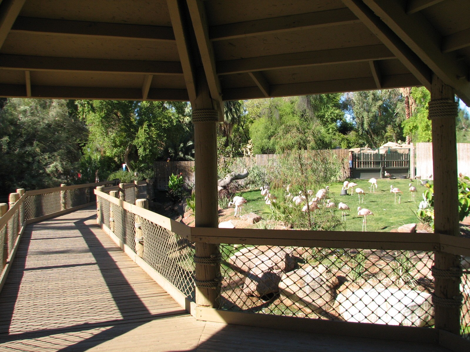 Tropics Trail - Wetlands Exhibit
