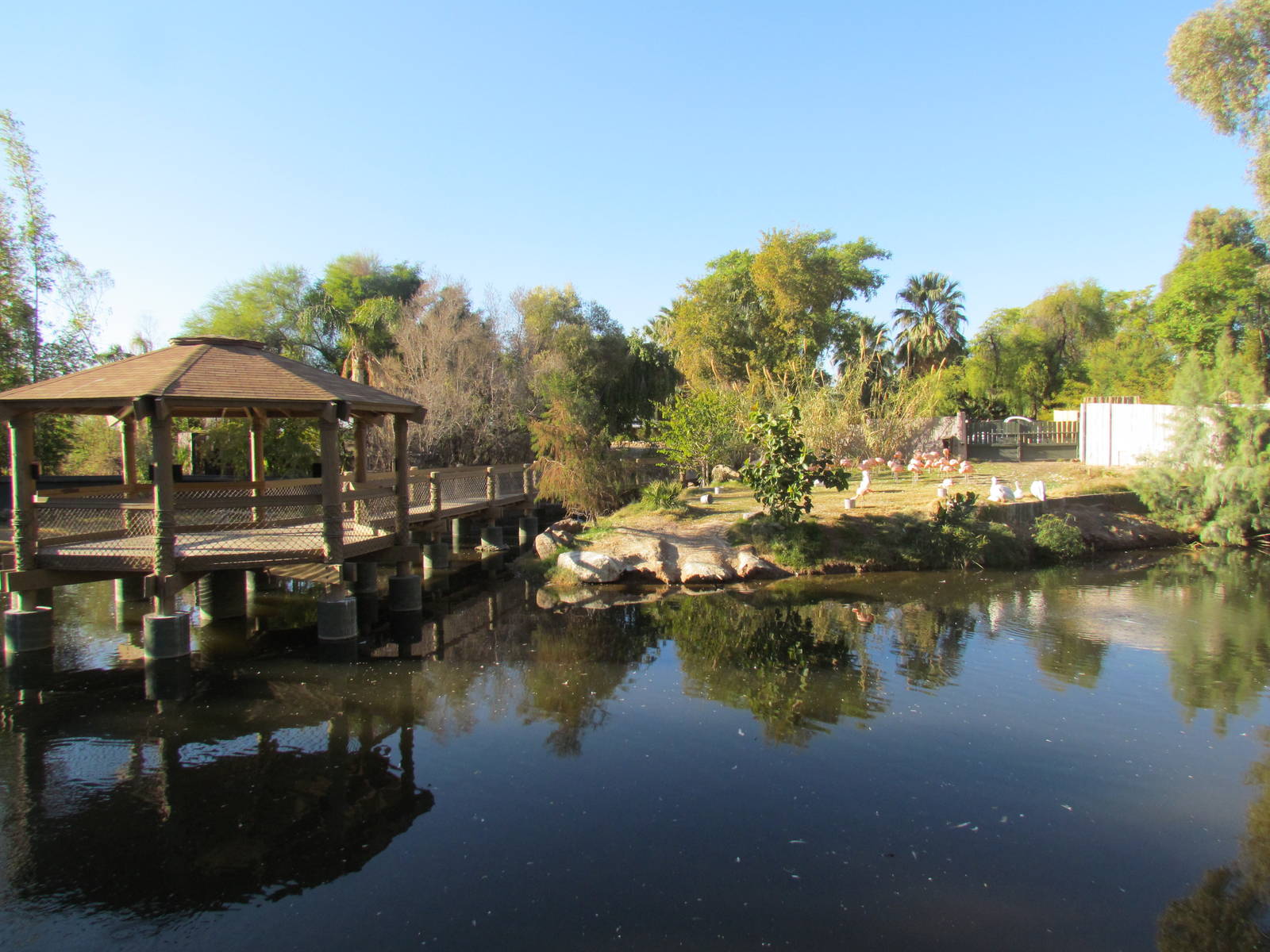 Tropics Trail - Wetlands