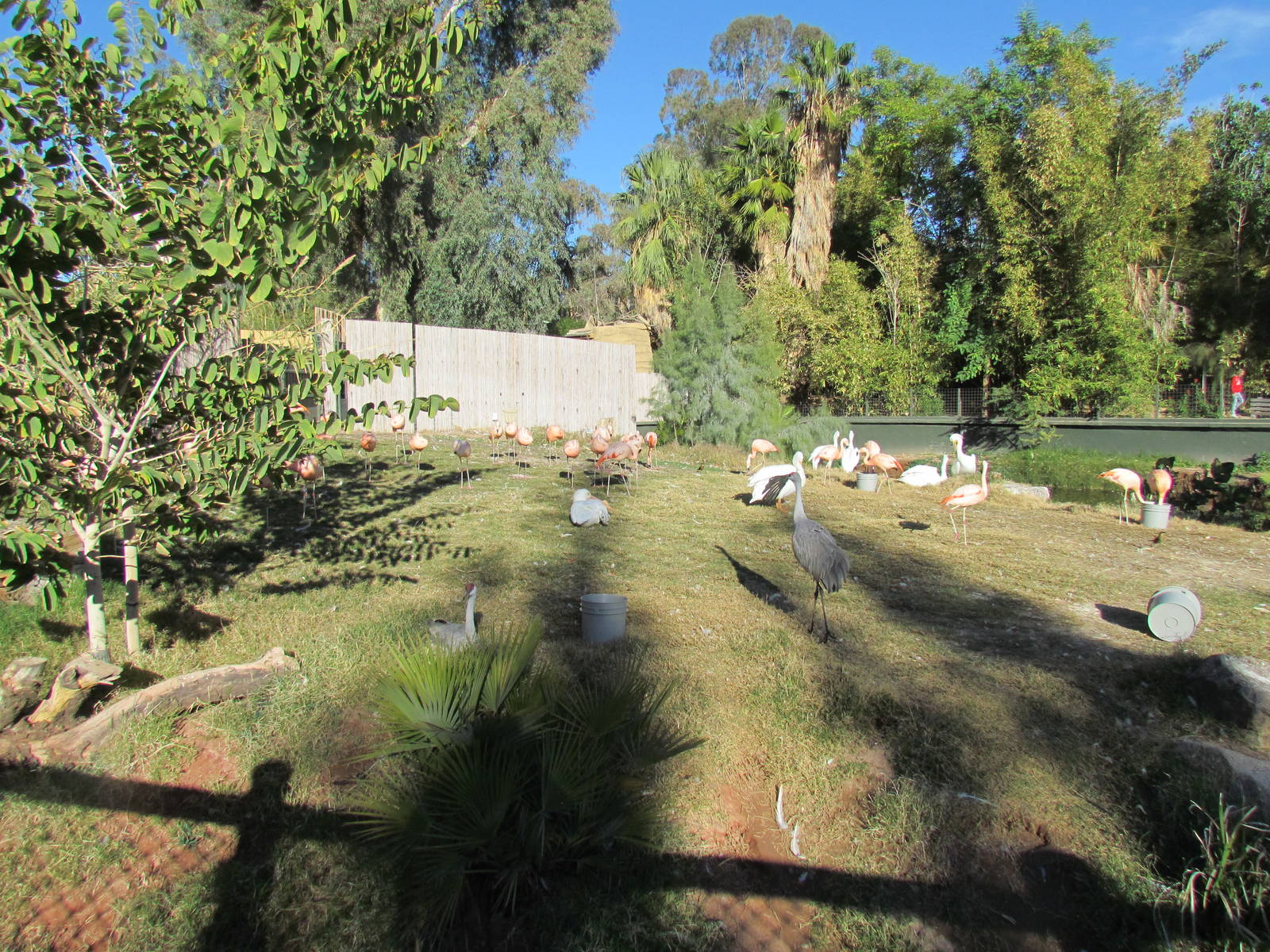 Tropics Trail - Wetlands