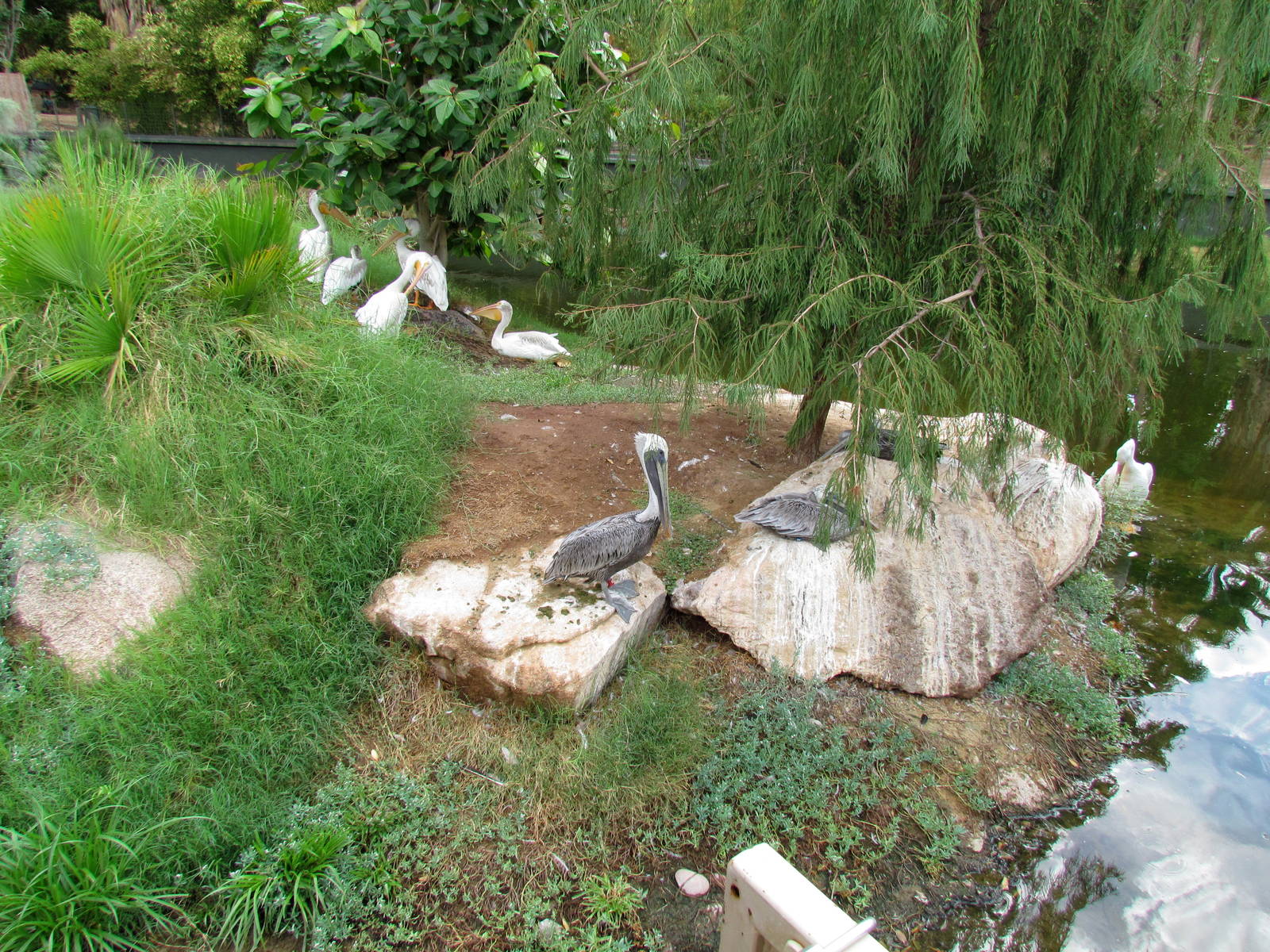 Tropics Trail - Wetlands
