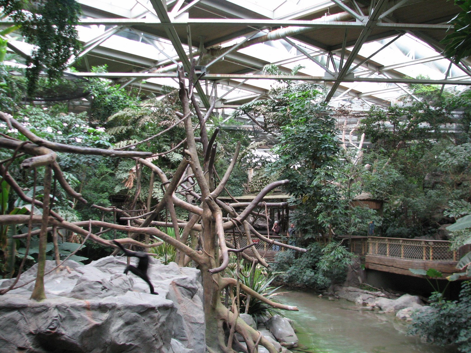 Tropics Trail - White-cheeked Gibbon and Waterfowl Exhibit