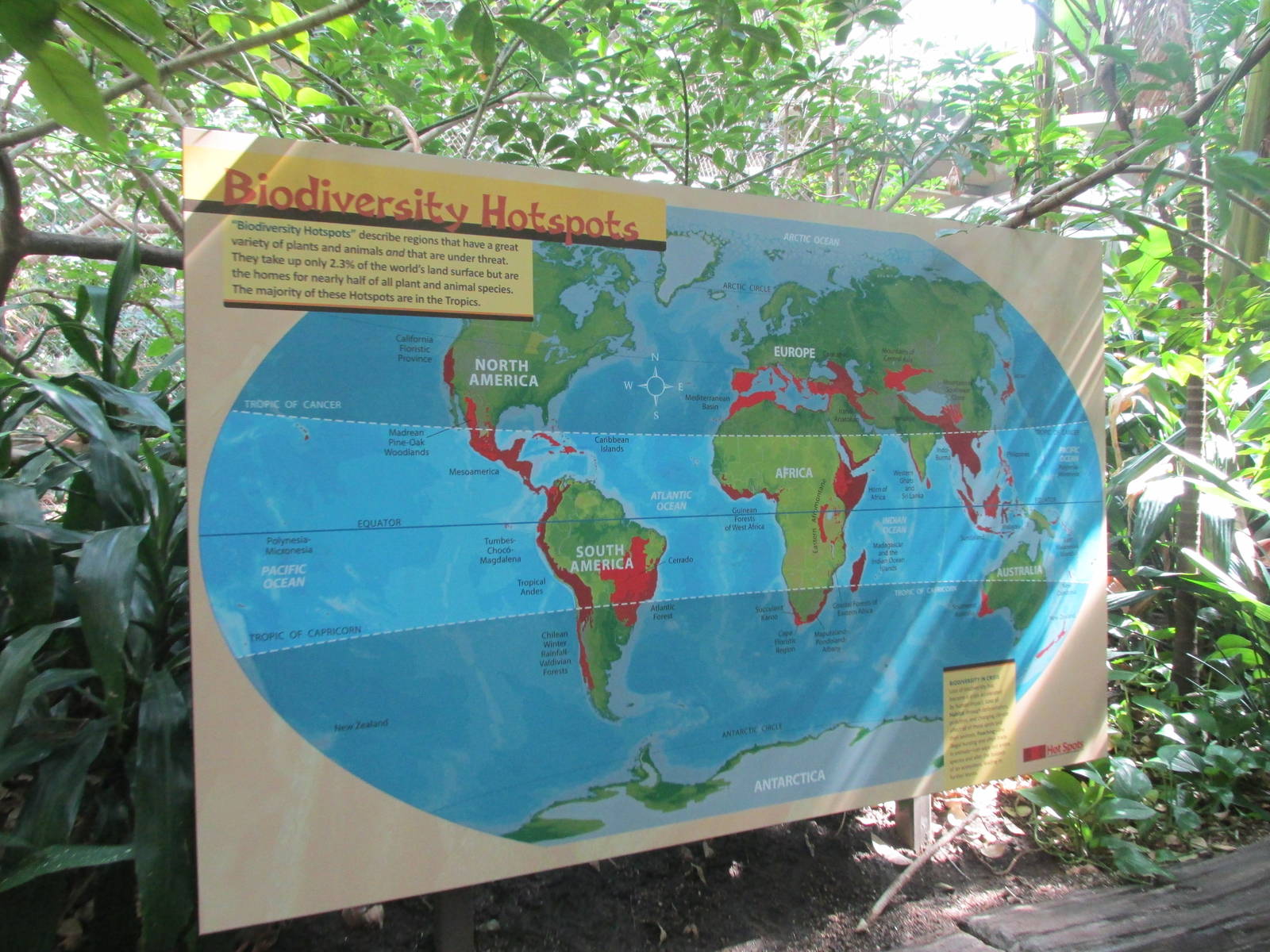 Tropics Trail World Map