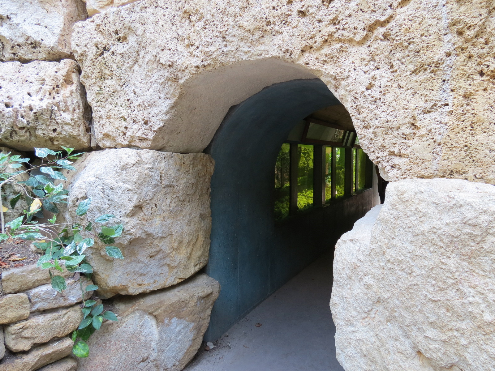 Tropics - Underwater Tunnel Entrance