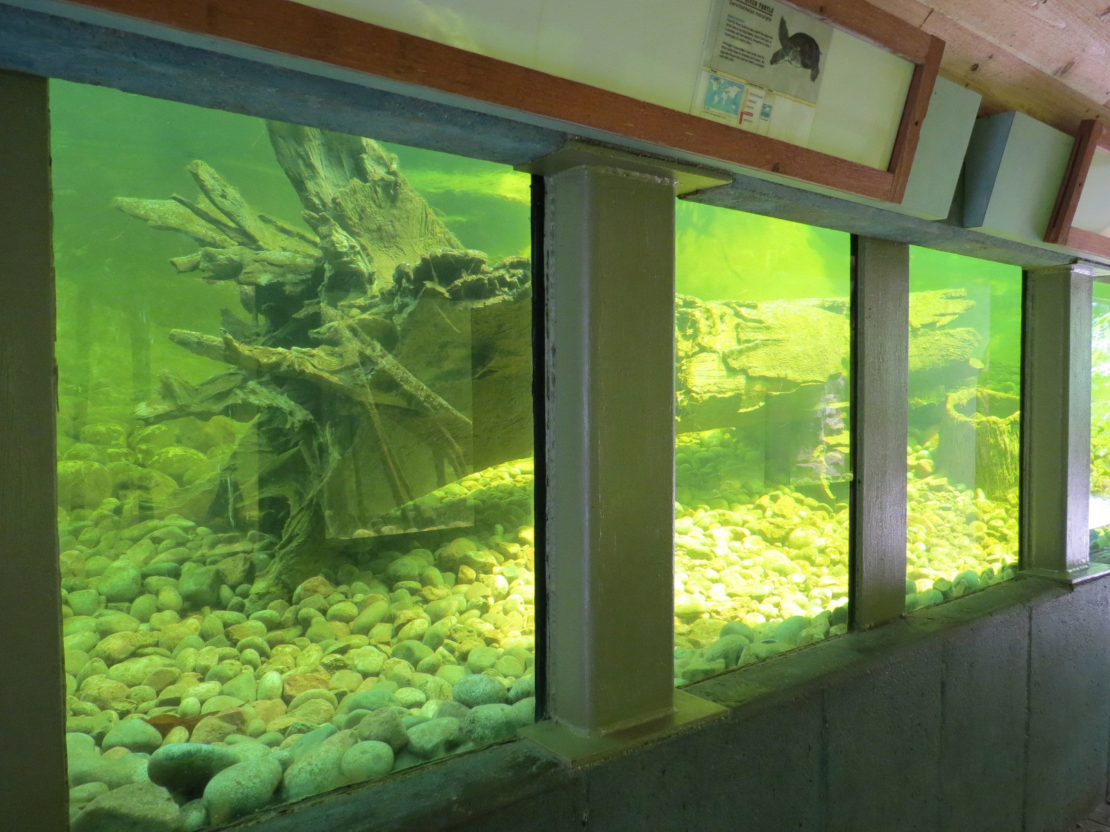 Tropics - Underwater Tunnel