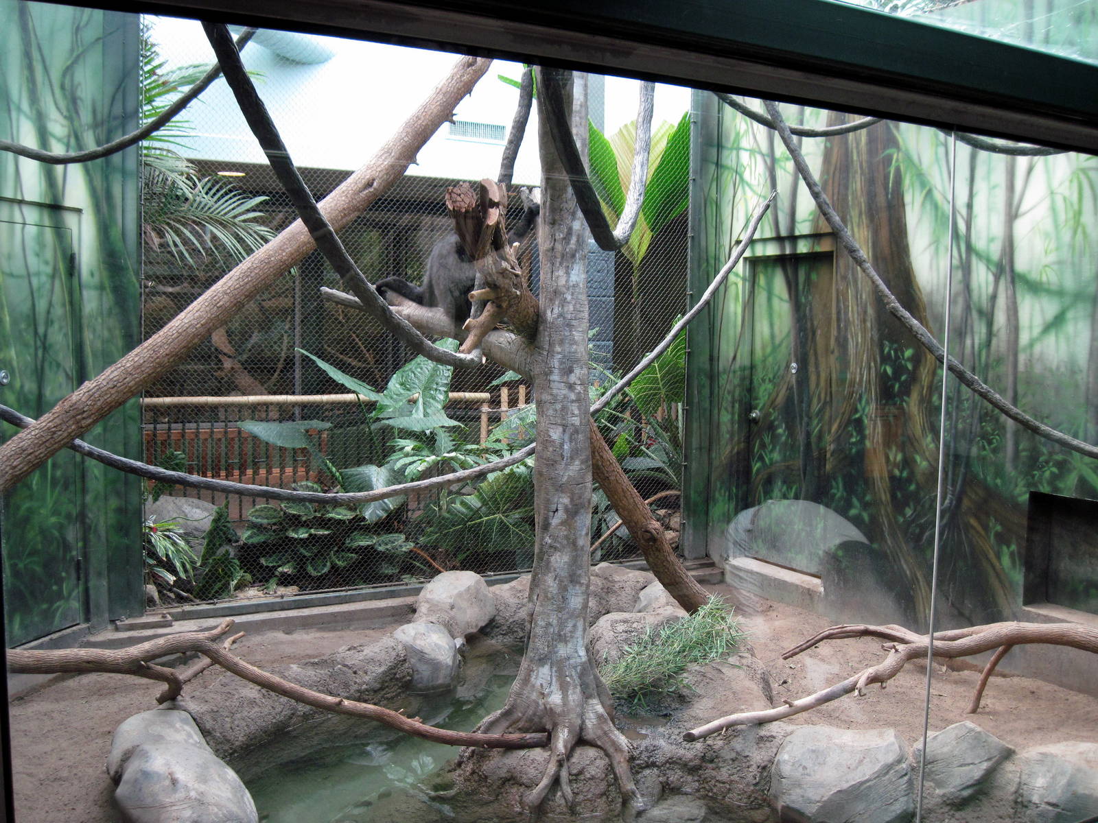 Tropics-White-cheeked Gibbon/Asian Small-clawed Otter Exhibit