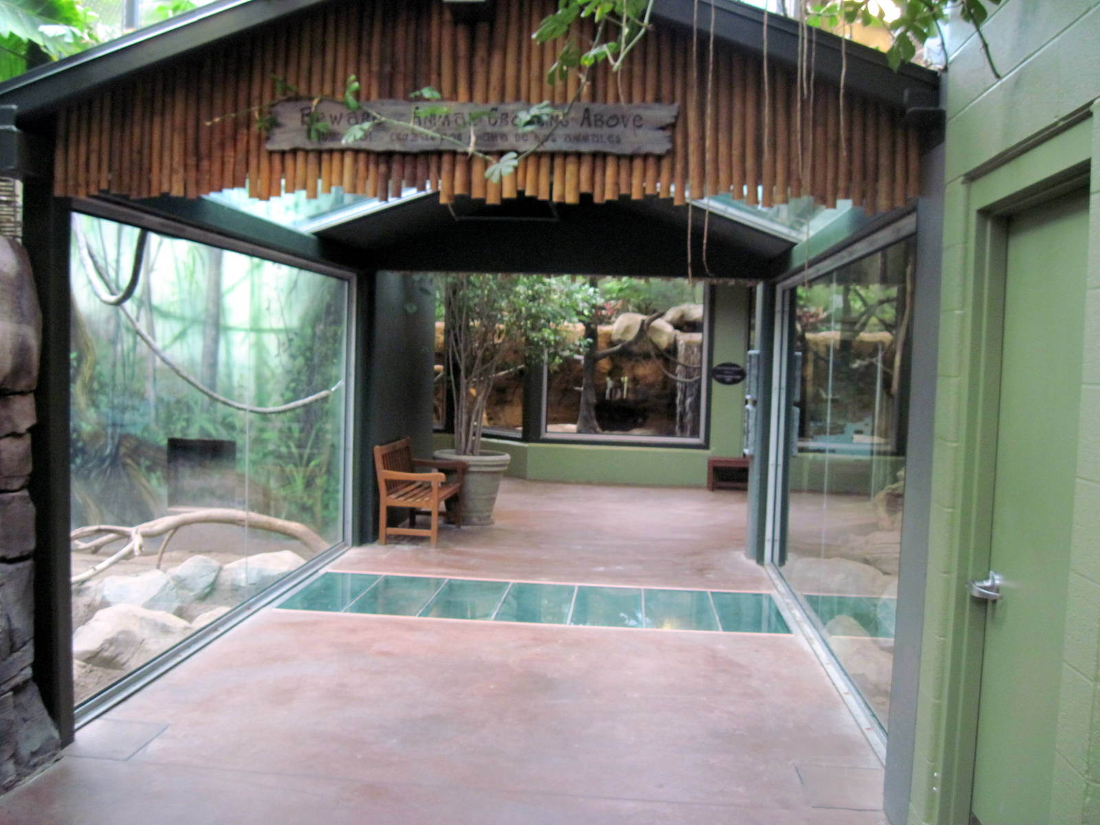 Tropics-White-cheeked Gibbon/Asian small-clawed otter Exhibit