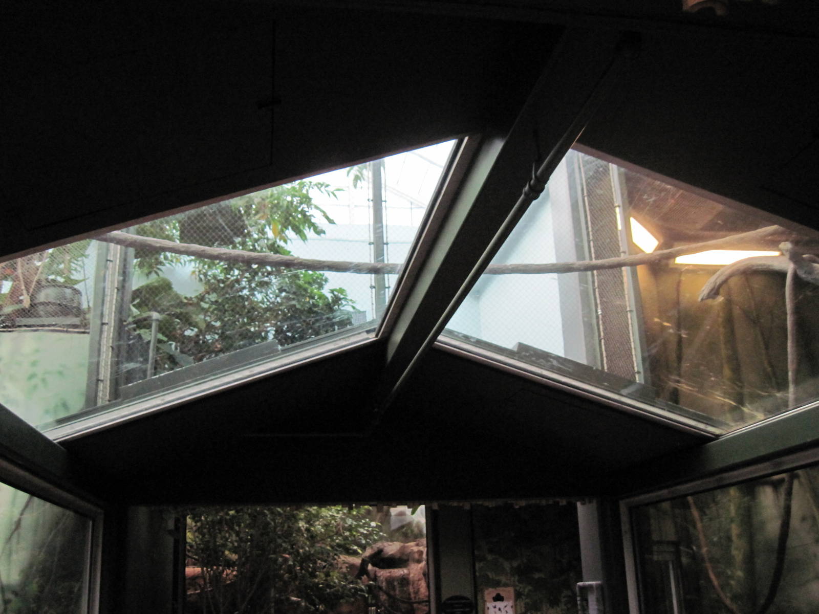 Tropics-White-cheeked Gibbon/Asian small-clawed otter Exhibit