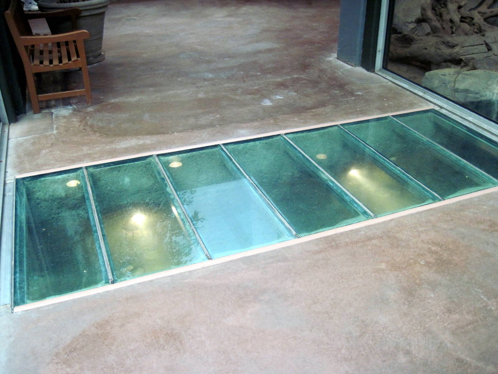 Tropics-White-cheeked Gibbon/Asian small-clawed otter Exhibit