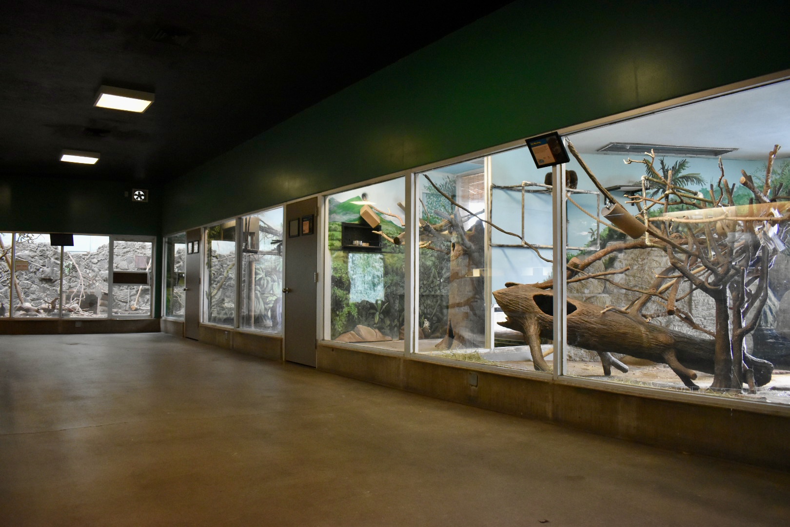 Tropics Zone - Small Animal Building