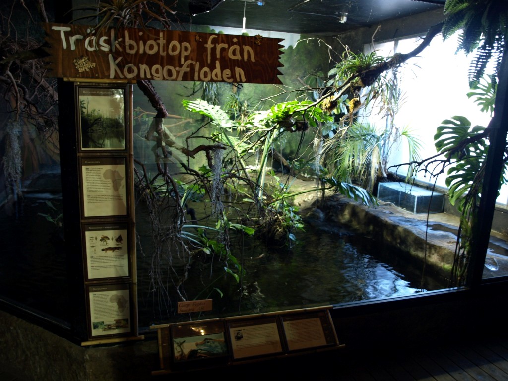 Tropikariet - Africa (Congo River)