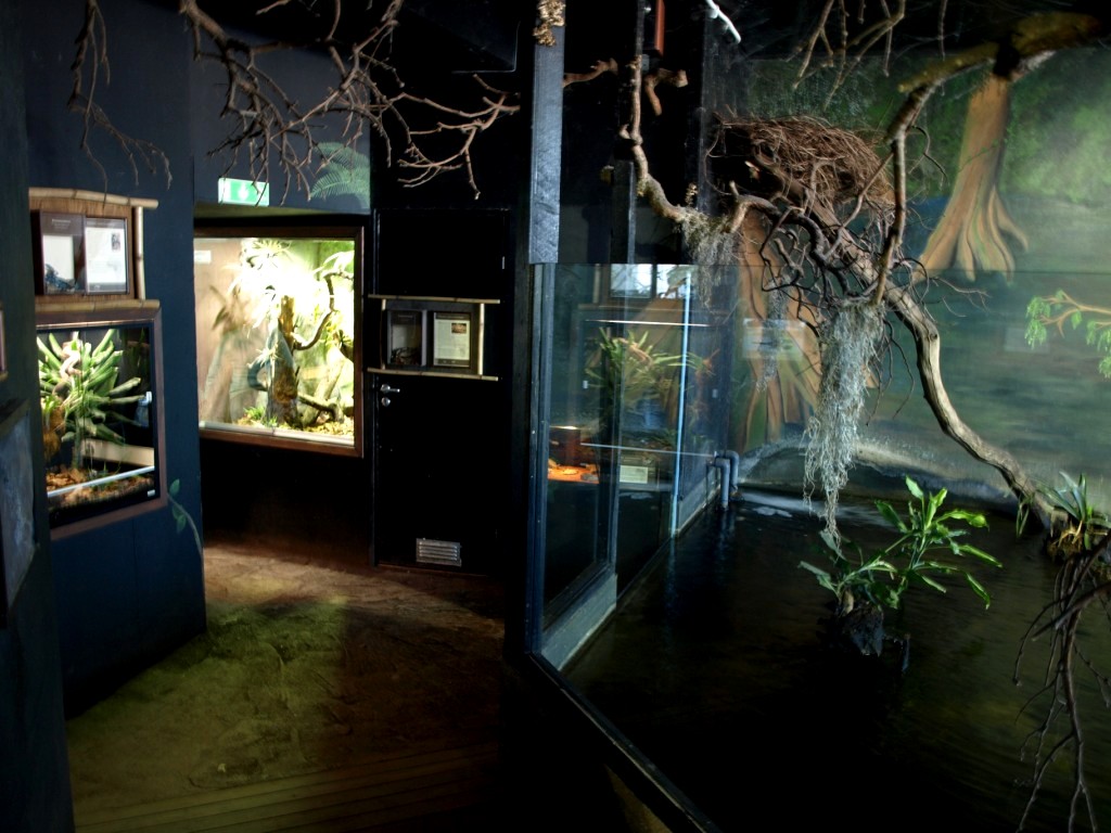 Tropikariet - Africa