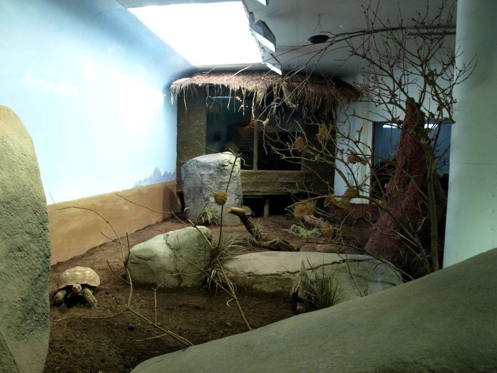 Tropikariet - African savannah exhibit