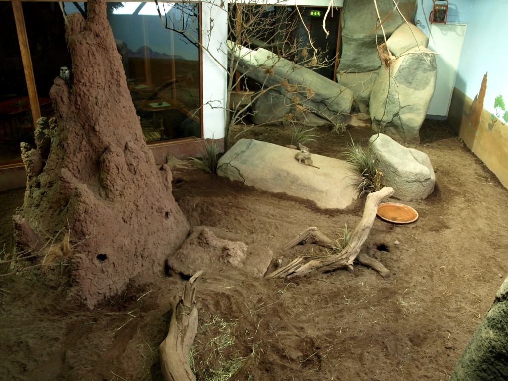 Tropikariet - African savannah exhibit