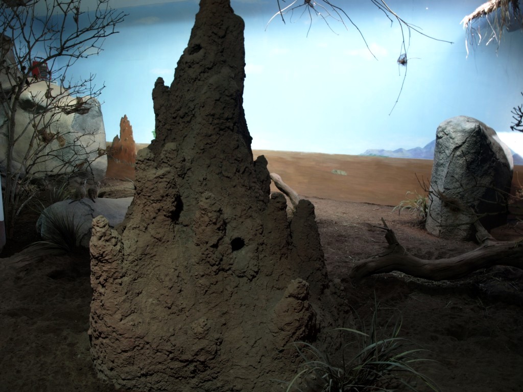 Tropikariet - African savannah exhibit