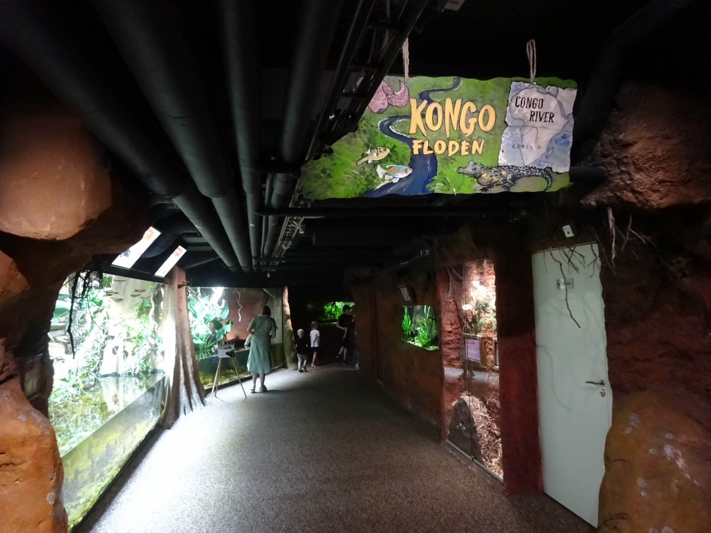 Tropikariet - Congo River - General view