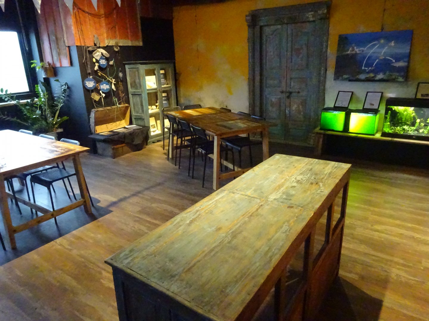 Tropikariet - Education room