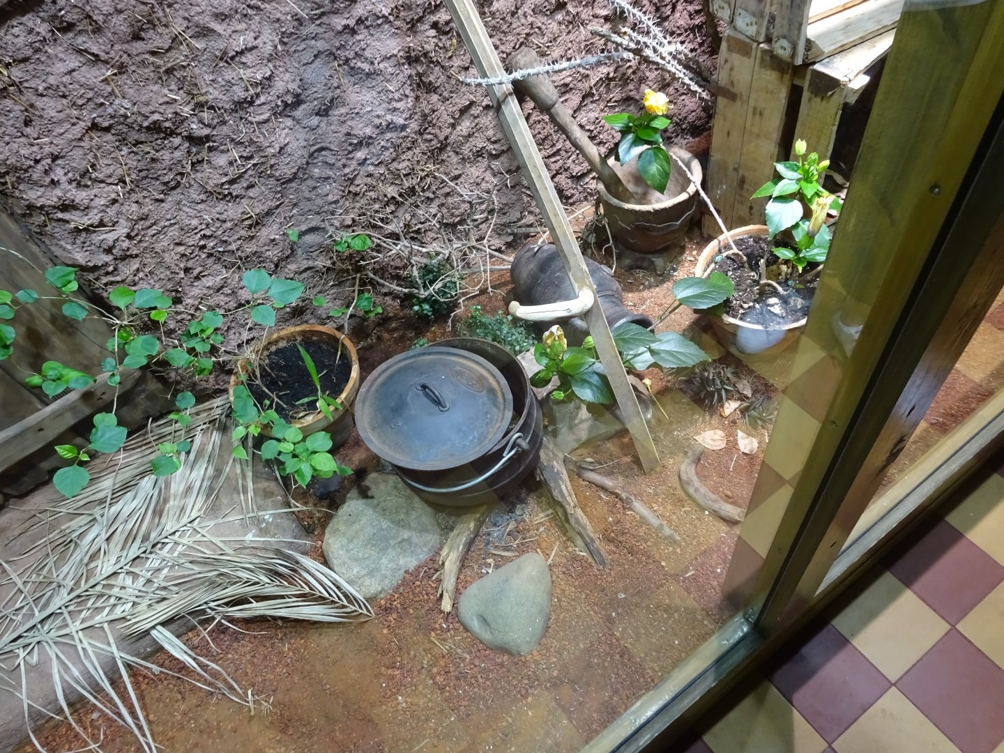 Tropikariet - Freaks of Nature - Cobra exhibit