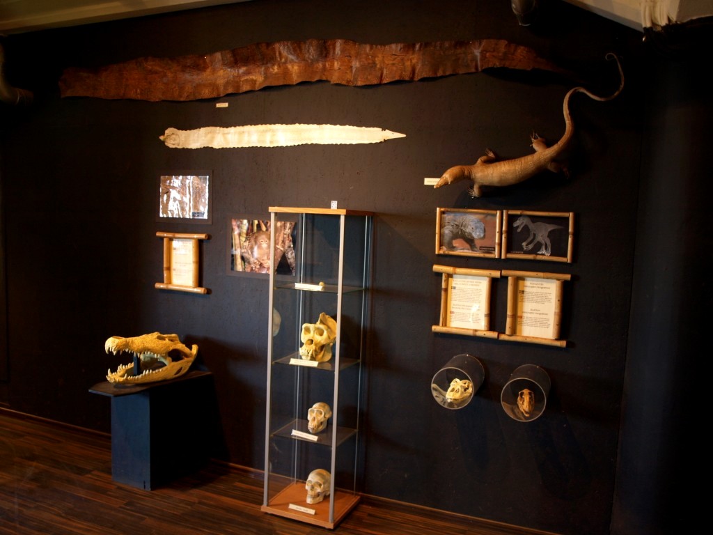 Tropikariet - Knowledge Corner