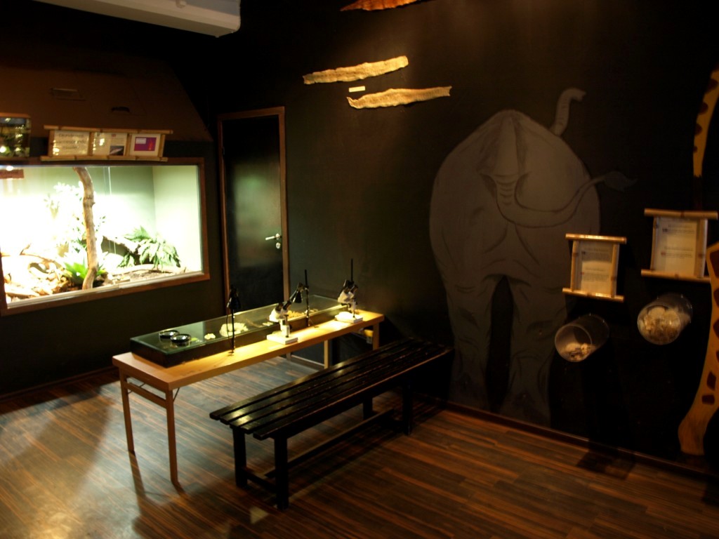 Tropikariet - Knowledge Corner