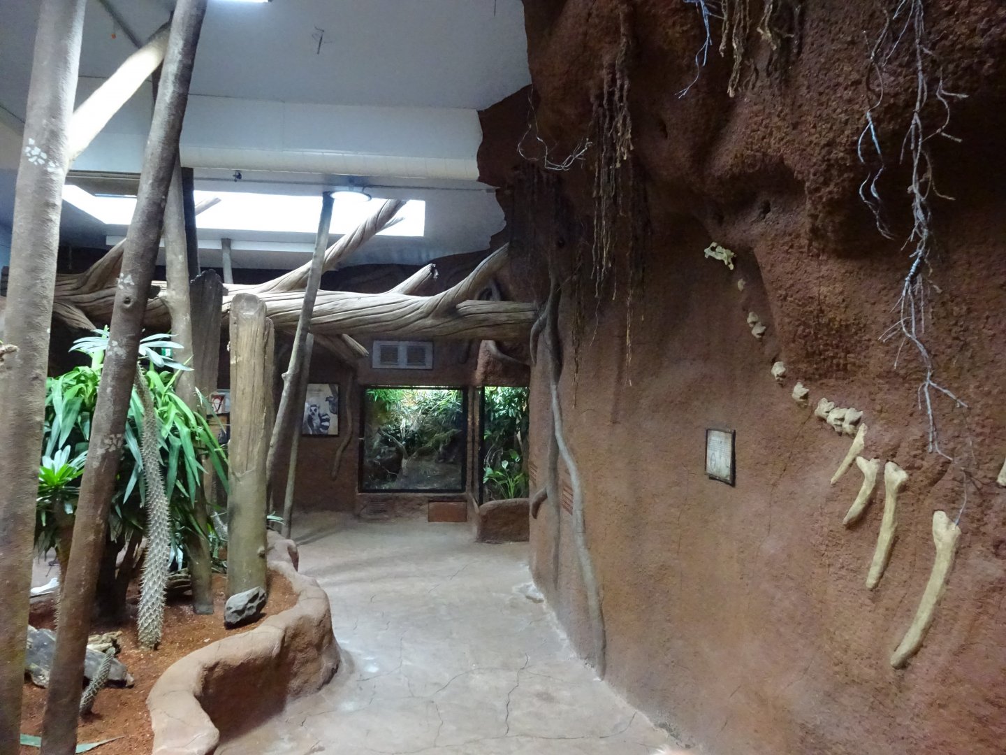 Tropikariet - Madagascar - General view