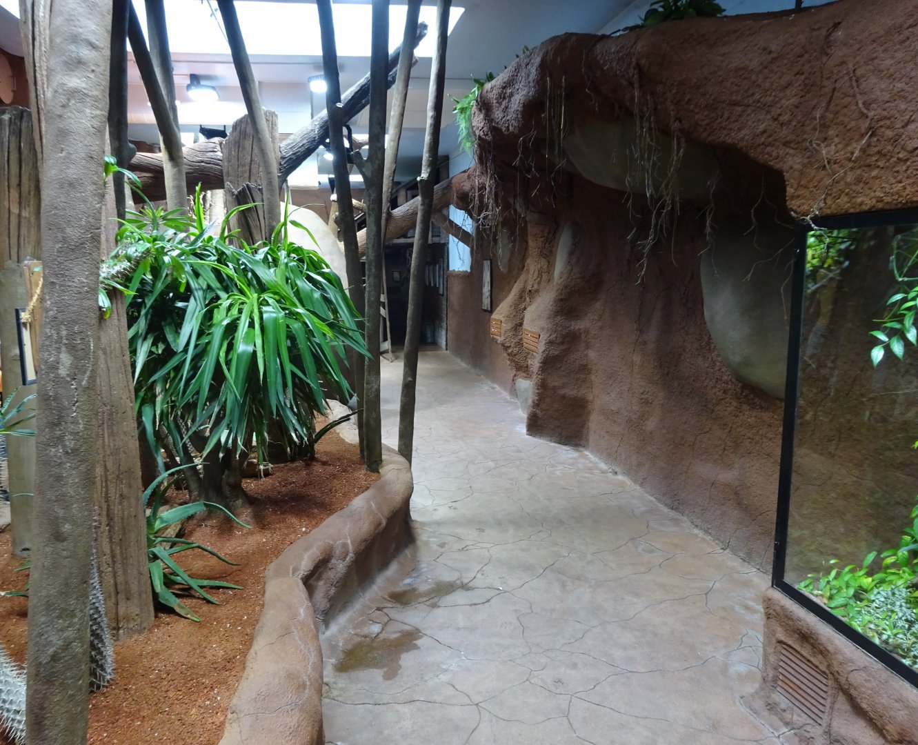 Tropikariet - Madagascar - General view