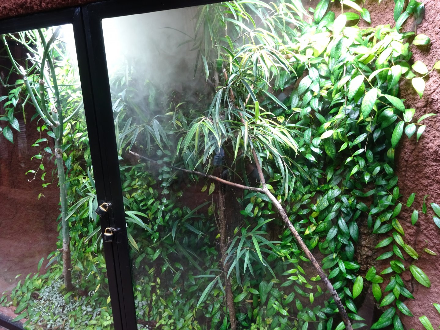 Tropikariet - Madagascar - Snake exhibit