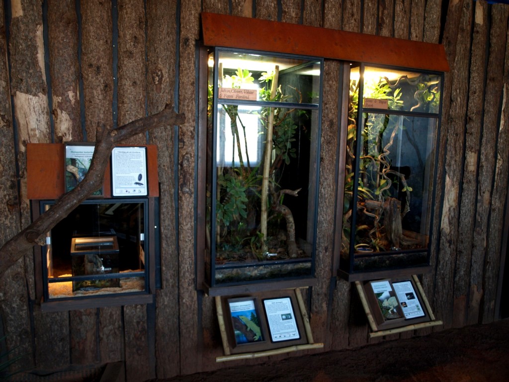 Tropikariet - Madagascar (terraria)