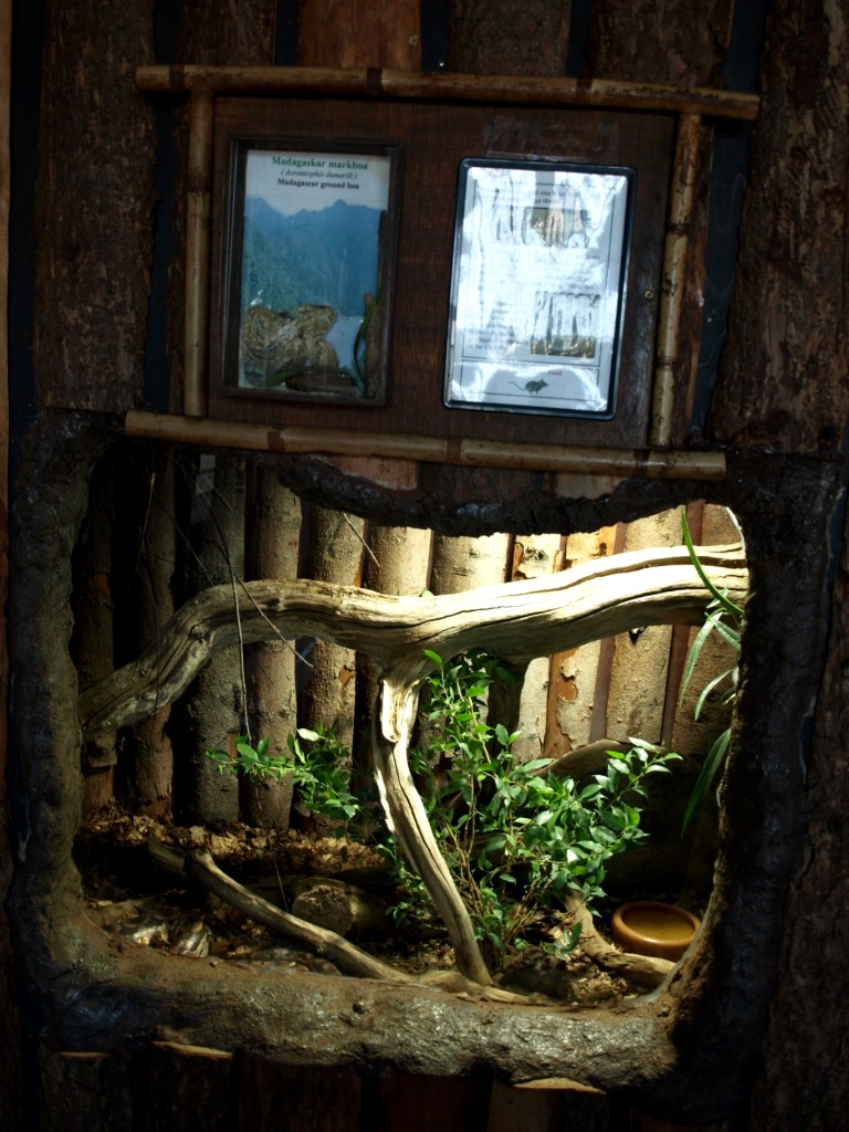 Tropikariet - Madagascar (terraria)