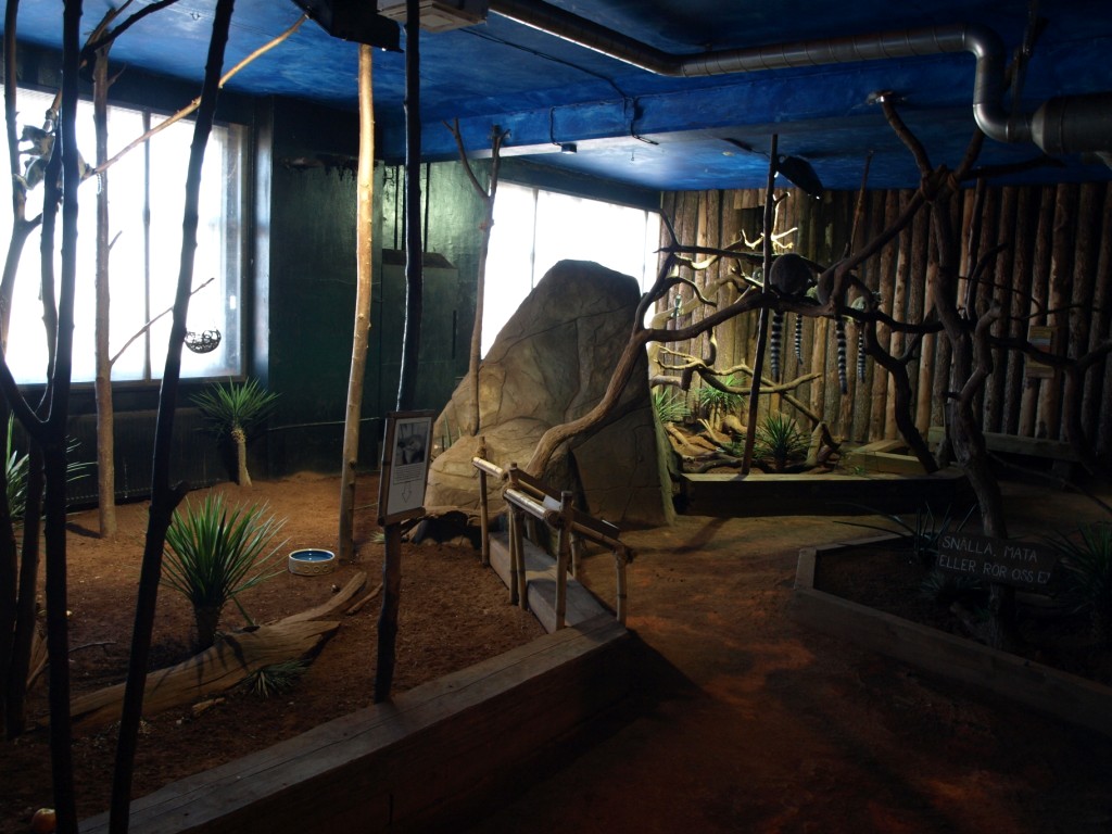 Tropikariet - Madagascar