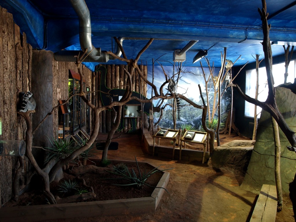 Tropikariet - Madagascar