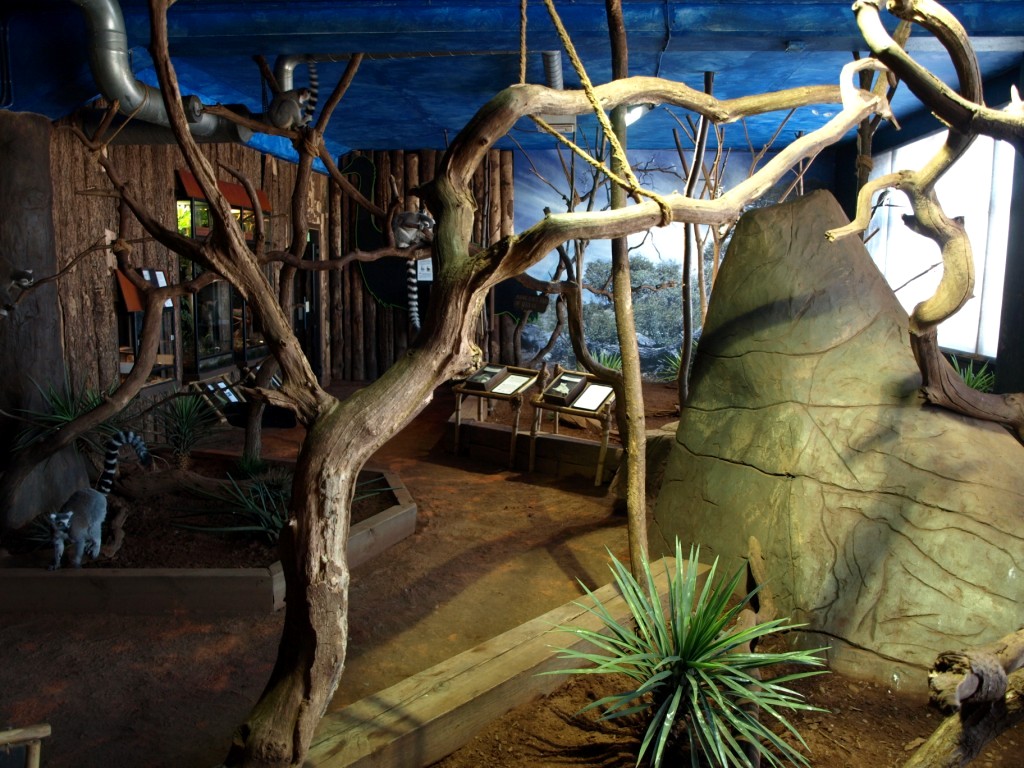 Tropikariet - Madagascar