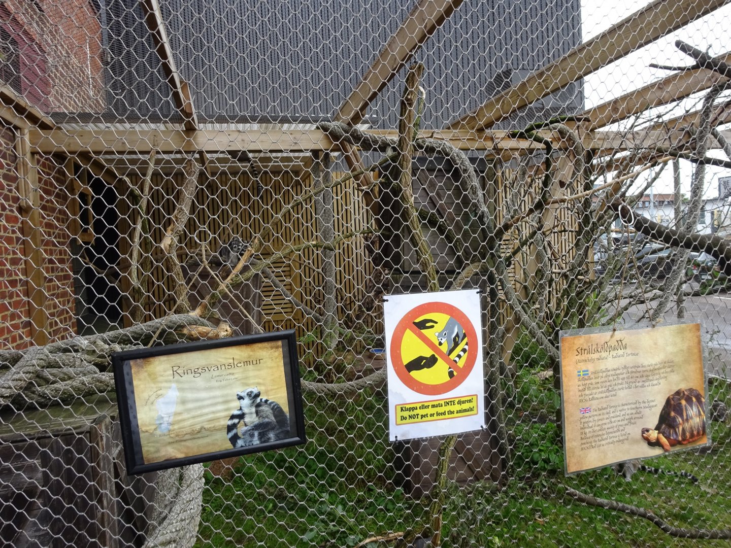 Tropikariet - Outdoor lemur exhibit