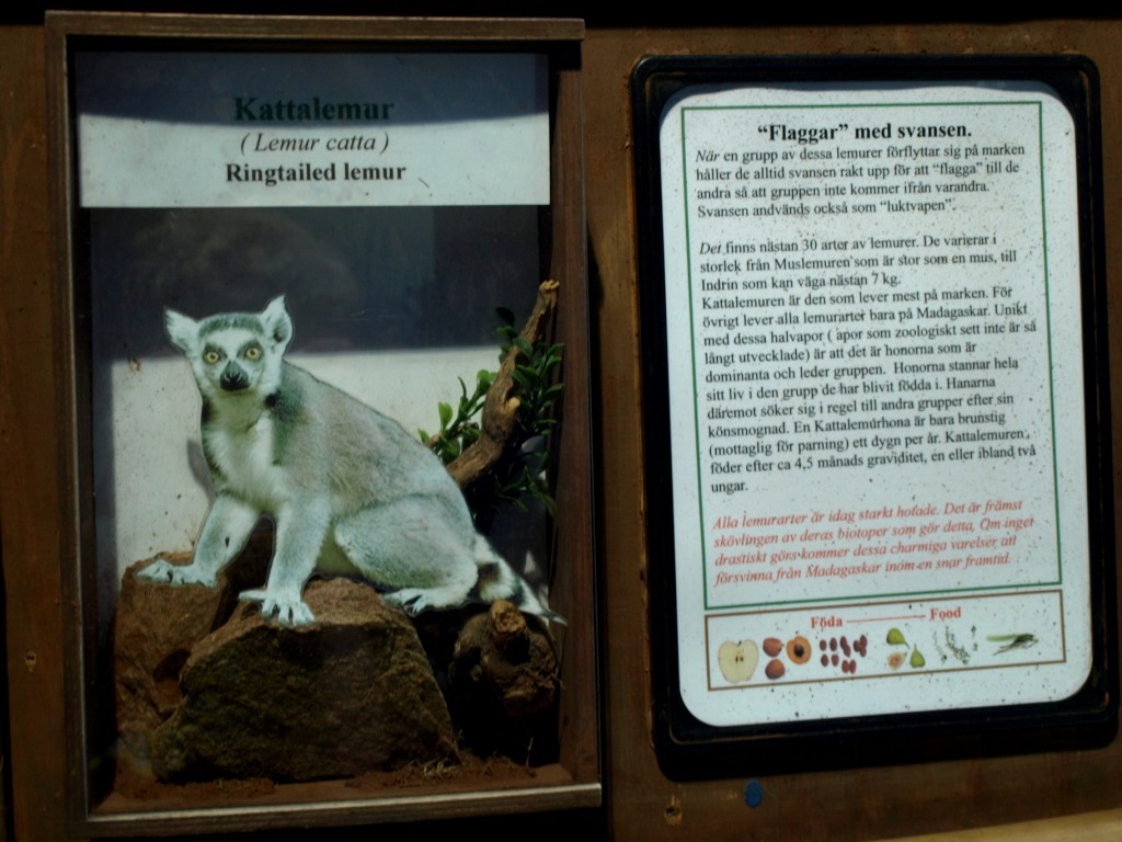 Tropikariet - Signage example