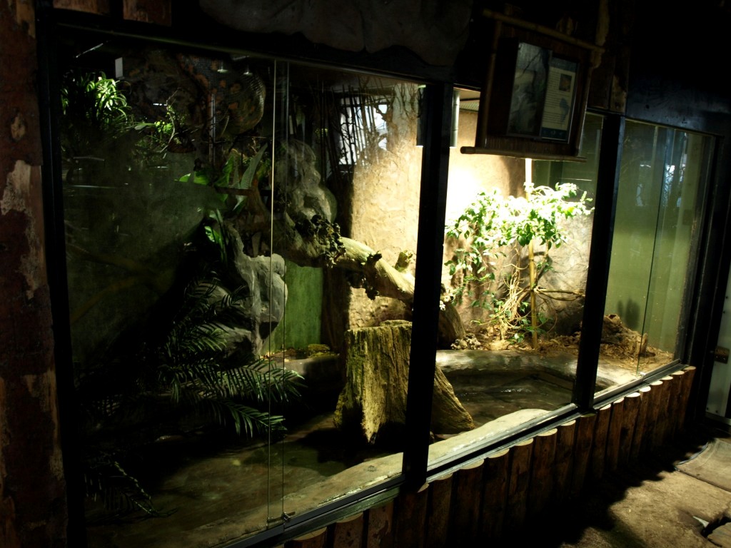 Tropikariet - South America (anaconda)
