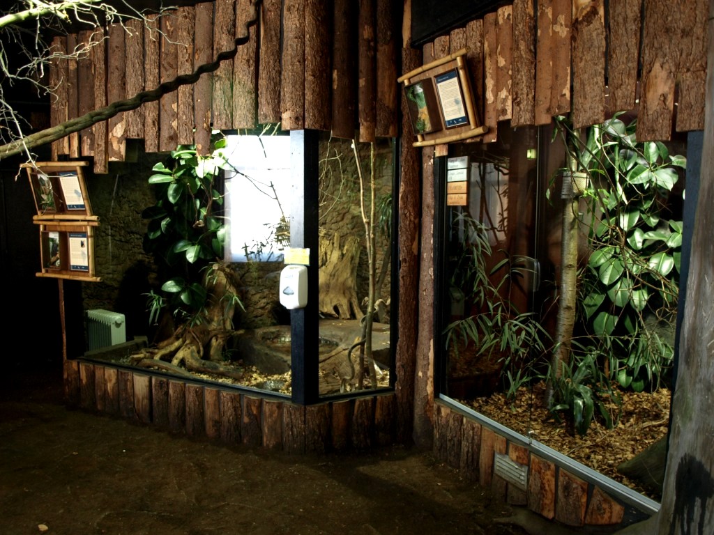 Tropikariet - South America (tamarin exhibits)