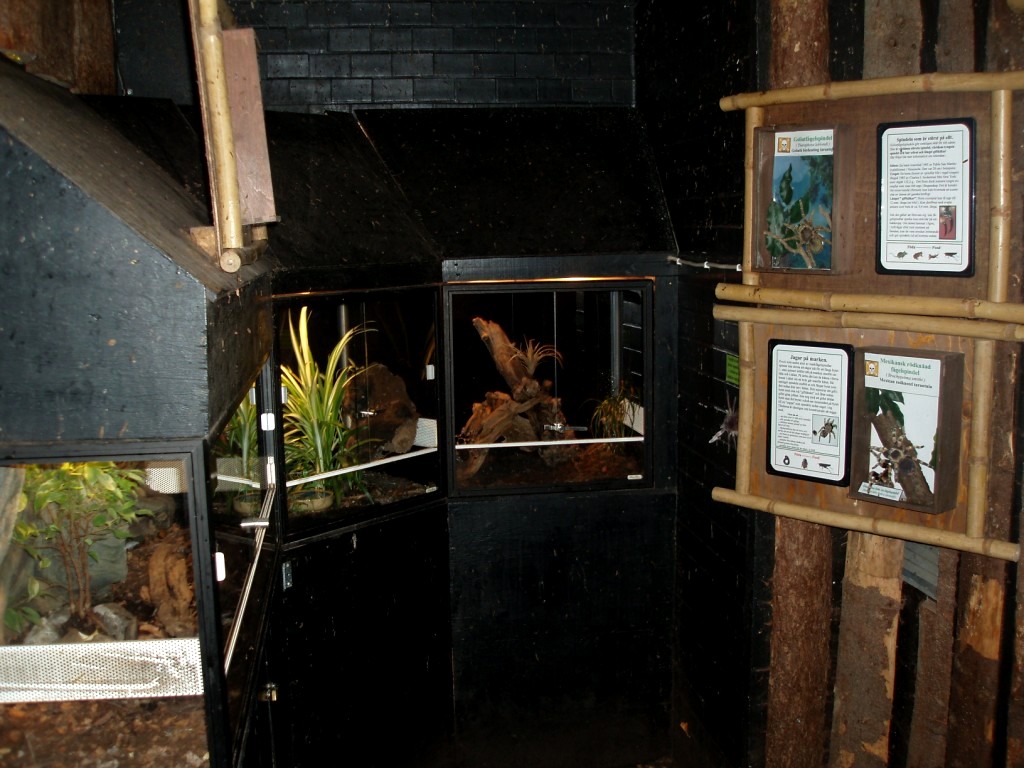 Tropikariet - South America (terraria)