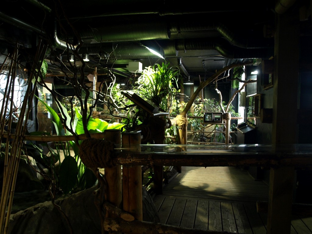 Tropikariet - South America