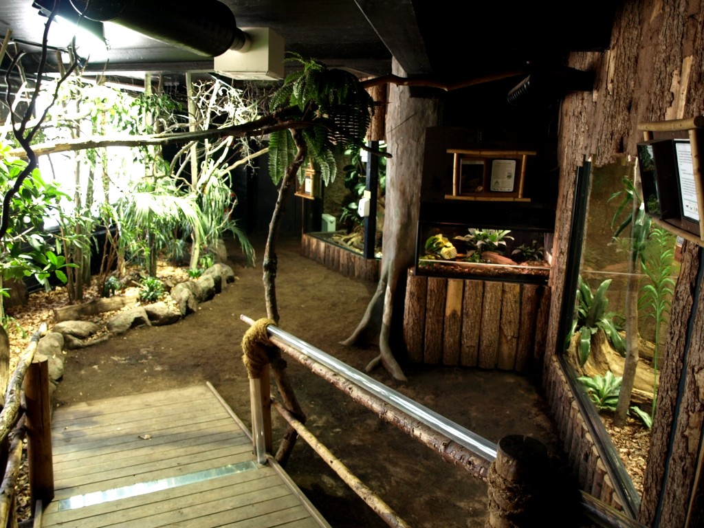 Tropikariet - South America