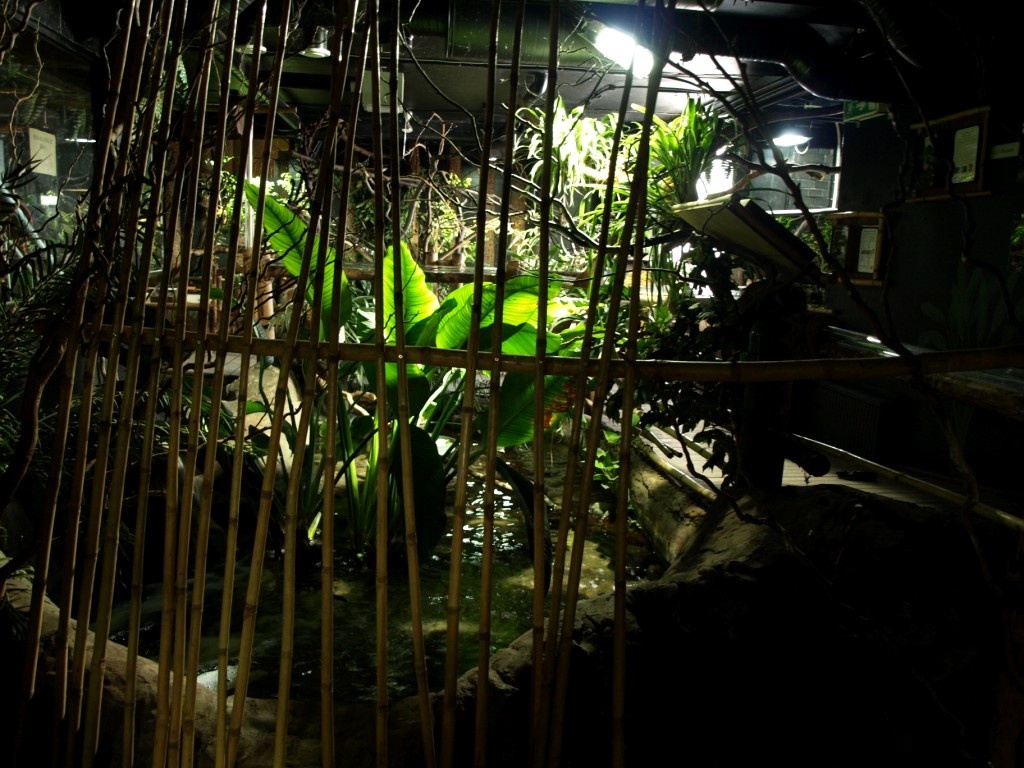 Tropikariet - South America