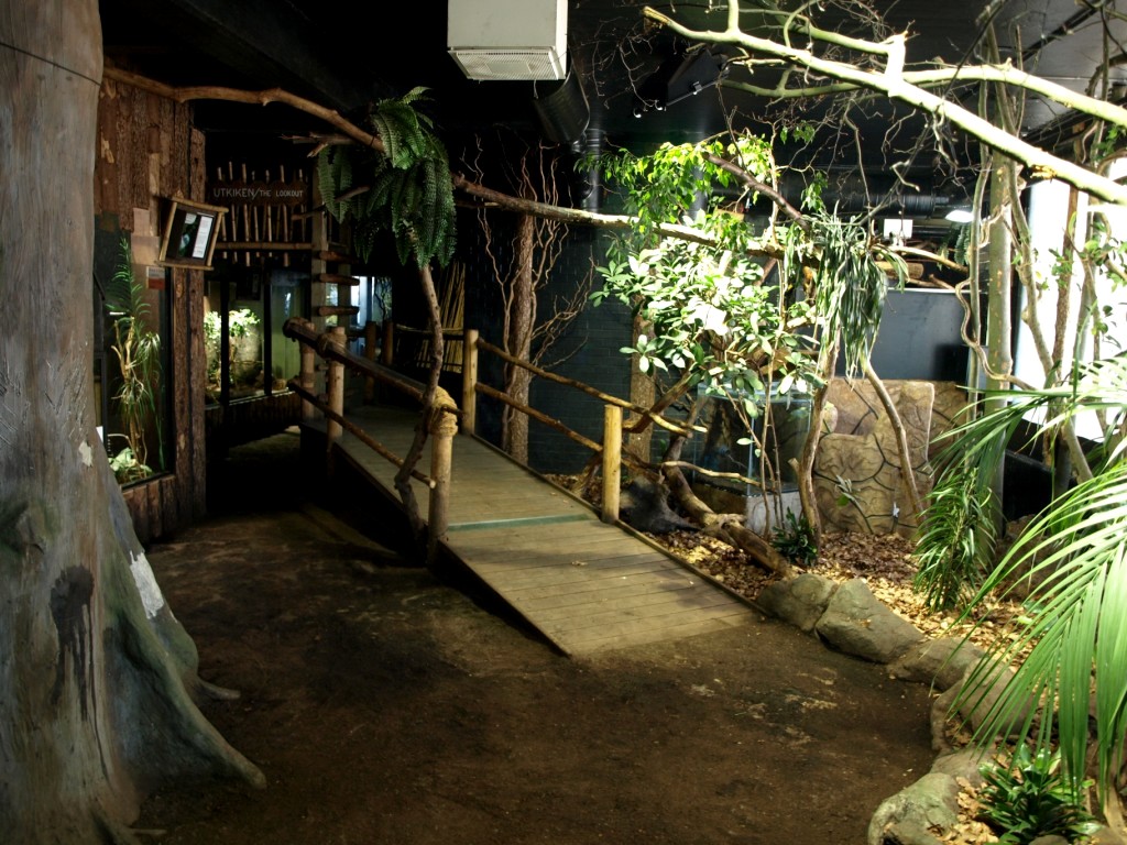 Tropikariet - South America